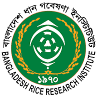 BRRI